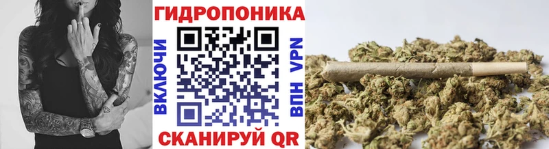 где найти   OMG ТОР  Шишки марихуана VHQ  Гвардейск 